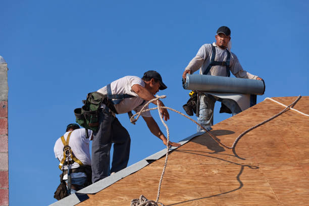 Best Best Roofing Contractors  in Olean, NY